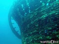 scuba diving photo