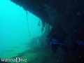 scuba diving photo