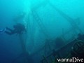 scuba diving photo