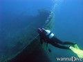 scuba diving photo