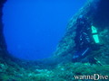 scuba diving photo