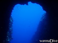 scuba diving photo