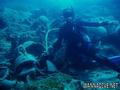 scuba diving photo