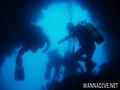 scuba diving photo