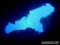scuba diving photo