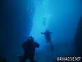 scuba diving photo