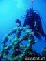 scuba diving photo