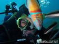 scuba diving photo