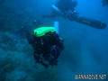 scuba diving photo