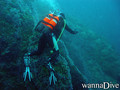 scuba diving photo