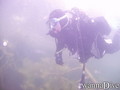 scuba diving photo