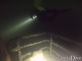 scuba diving photo