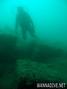 scuba diving photo
