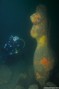 scuba diving photo