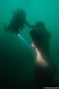 scuba diving photo