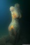 scuba diving photo