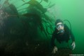 scuba diving photo
