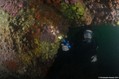 scuba diving photo