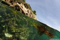 scuba diving photo