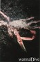scuba diving photo