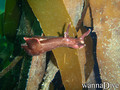 scuba diving photo
