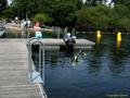 scuba diving photo