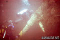 scuba diving photo