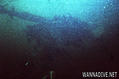 scuba diving photo