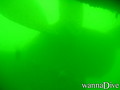 scuba diving photo