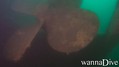 scuba diving photo