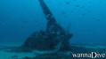 scuba diving photo