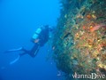 scuba diving photo
