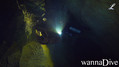 scuba diving photo