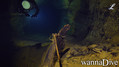 scuba diving photo