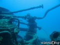 scuba diving photo