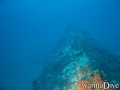 scuba diving photo
