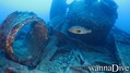 scuba diving photo
