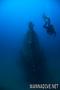 scuba diving photo