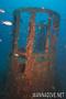 scuba diving photo