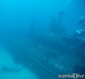 scuba diving photo