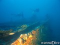 scuba diving photo