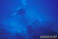 scuba diving photo