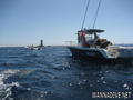 scuba diving photo