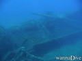 scuba diving photo