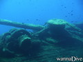 scuba diving photo