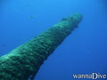scuba diving photo