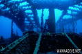 scuba diving photo