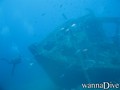 scuba diving photo