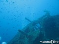 scuba diving photo