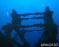 scuba diving photo